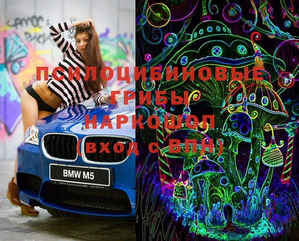 PSILOCYBIN Алексин