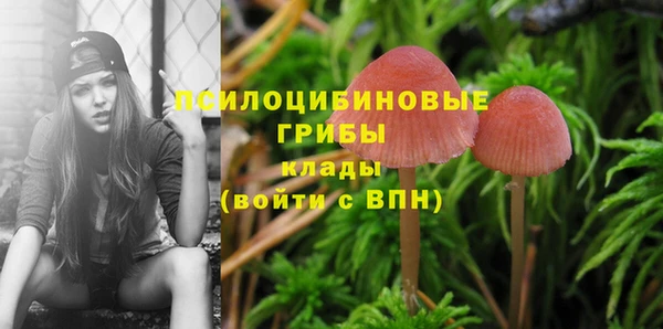 PSILOCYBIN Алексин