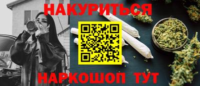 jwh Кингисепп