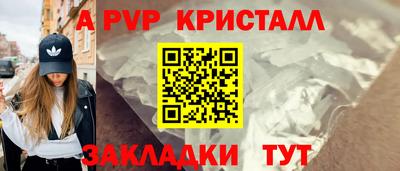 jwh Кингисепп