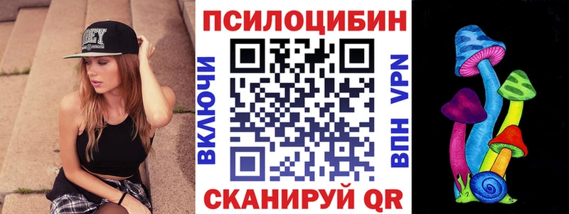 Псилоцибиновые грибы Psilocybine cubensis  Кудрово 