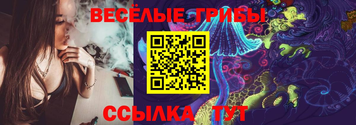 Псилоцибиновые грибы GOLDEN TEACHER Кудрово
