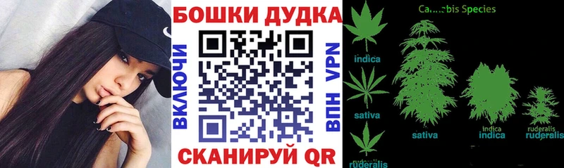 купить   Кудрово  Шишки марихуана LSD WEED 